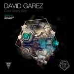 cover: David Garez - Cool Story Bro