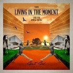 cover: Lou Van - Living In The Moment