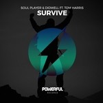 cover: Soul Player - Survive