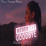 cover: Dj Tusso|Santiago Moreno - Never Say Goodbye