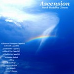 cover: Punk Buddha Clown - Ascension