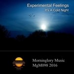 cover: Experimental Feelings - It's A Cold Night