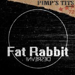 cover: Fat Rabbit - Inversed