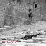 cover: Dj Melowman - The Temple