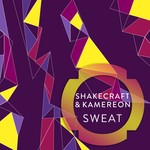 cover: Shakecraft & Kamereon - Sweat