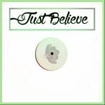 cover: Various - Best Of Believe In Disco