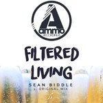 cover: Sean Biddle - Filtered Living