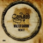 cover: Walter Gardini - Freak It