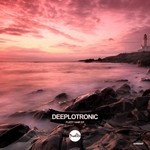 cover: Deeplotronic - Fuzzy Hair EP