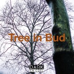 cover: Dark En Ciel - Tree In Bud