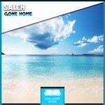 cover: Saleh - Gone Home