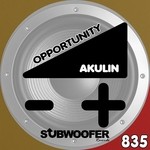 cover: Akulin - Opportunity