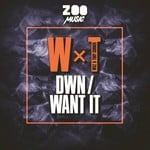 cover: Woz X Troy Gunner - DWN/Want It