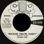 cover: Funka Fize - Because Youare Funky/No Words