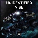 cover: Various - Unidentified Vibe