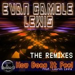 cover: Evan Gamble Lewis - How Does It Feel