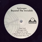 cover: Hydrangea - Beyond The Inviible