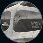 cover: Spin Fidelity - Trouble D