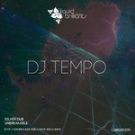 cover: Dj Tempo - Silver Dub