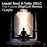 cover: Digicult - Layla/The Future