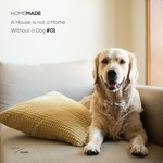 cover: Various - A House Is Not A Home Without A Dog #01