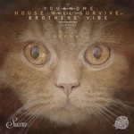 cover: Brothers' Vibe|Youandme - House Will Survive