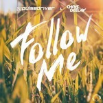 cover: Pulsedriver & Chris Deelay - Follow Me