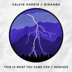 cover: Calvin Harris - This Is What You Came For (Remixes)