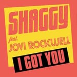 cover: Shaggy - I Got You