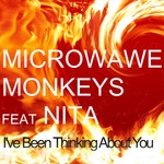 cover: Microwave Monkeys - I've Been Thinking About You