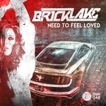 cover: Bricklake - Need To Feel Loved