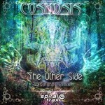 cover: Cosmosis - The Other Side