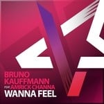 cover: Amrick Channa|Bruno Kauffmann - Wanna Feel