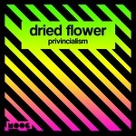 cover: Dried Flower - Provincialism