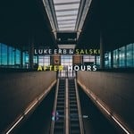 cover: Luke Erb & Salski - After Hours