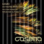 cover: Gavio - Do You See What I See