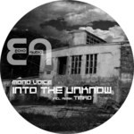 cover: Mono Voice - Into The Unknow