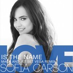 cover: Sofia Carson - Love Is The Name