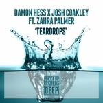 cover: Damon Hess|Josh Coakley - Teardrops