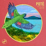 cover: Pote - Over The Water - EP