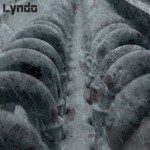 cover: Lyndo - Radiator