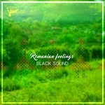 cover: Black Sound - Romanian Feelings EP