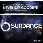 cover: Katylyst & Kiran M Sajeev - Never Say Goodbye