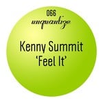 cover: Kenny Summit - Feel It