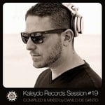 cover: Danilo De Santo|Various - Kaleydo Records Session #19 (unmixed tracks)