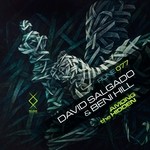 cover: David Salgado - Among The Hidden