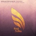 cover: Hazem Beltagui & Aneym - Passengers Remixed