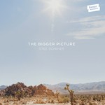 cover: Stee Downes - The Bigger Picture