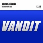 cover: James Cottle - Rudimental