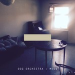 cover: Dog Orchestra - Meow